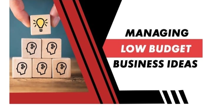 Managing Low Budget Business Ideas