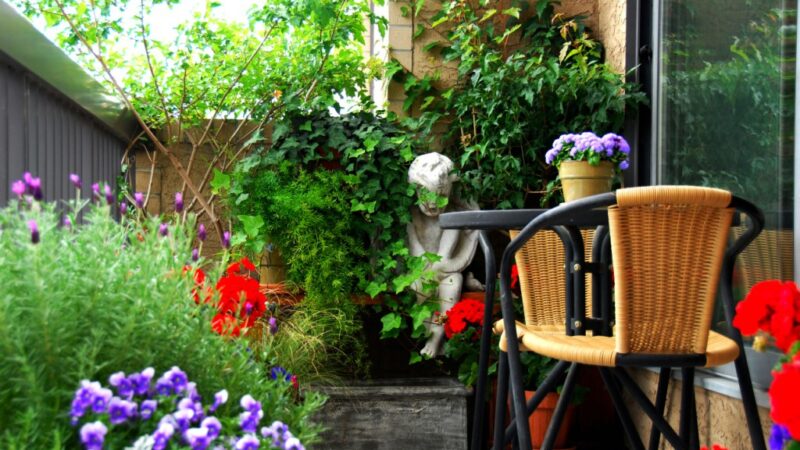 11 Best Plants for Balcony To Transform Your Balcony Into A Garden