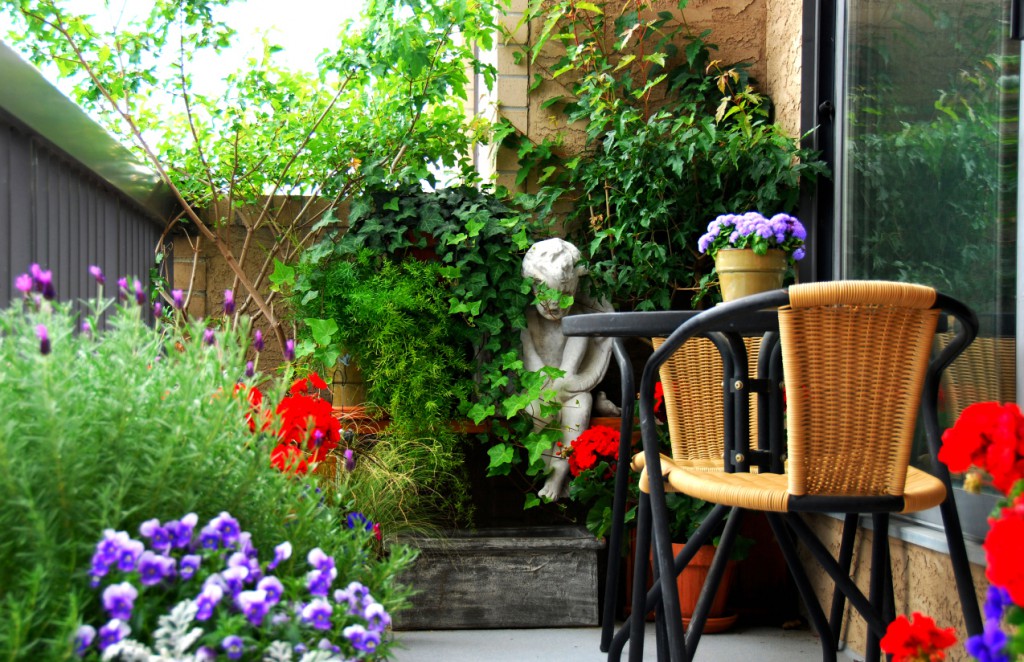 11 Best Plants for Balcony To Transform Your Balcony Into A Garden