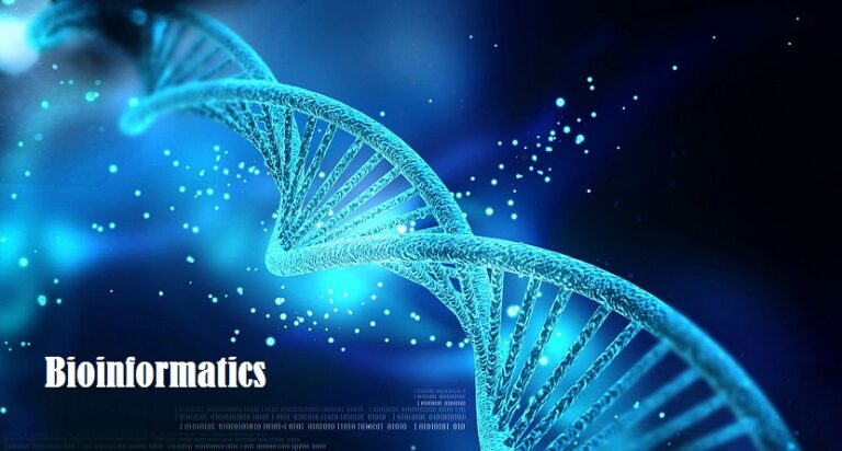 Bioinformatics Market
