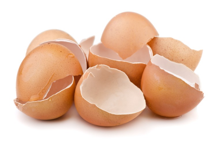 Eggshell Membrane Market Report 2021-26