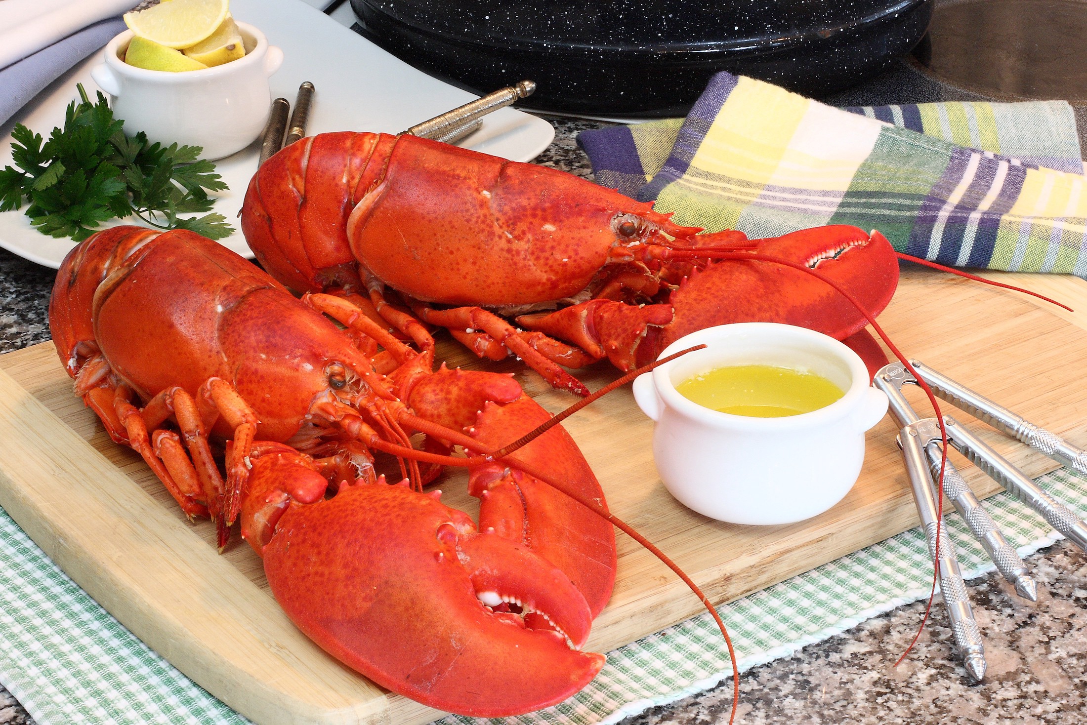 Europe Lobster Market