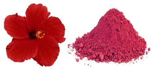 Hibiscus Flower Powder Market Size, Share, & Analysis by 2021-26