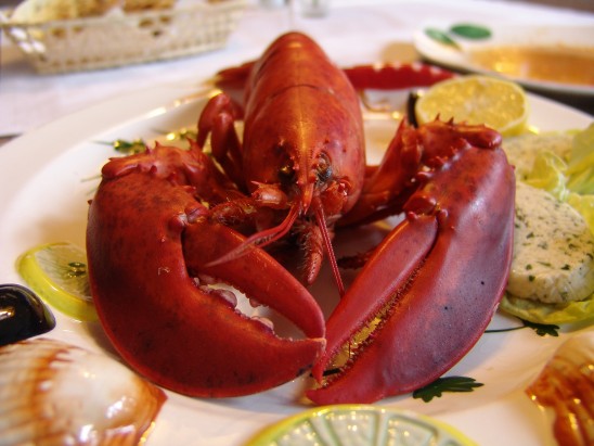 Lobster Market Report 2022-27: Industry Trends, Share, Size, Demand