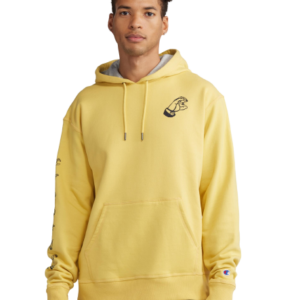 Pick Winter Men's Hoodies Online Which Are Really Exceptional