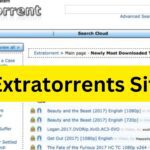 Extratorrents Site