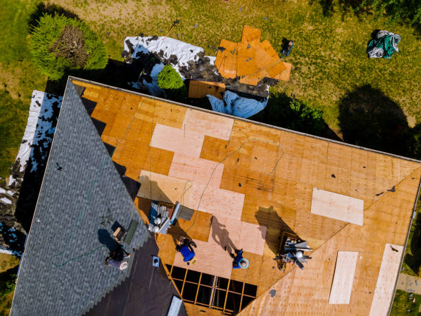 Top 5 Reasons to Use Roofing Services