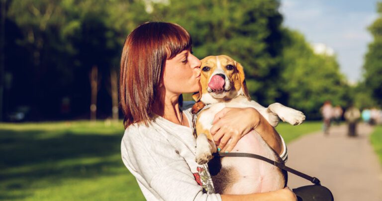 6 Popular Pet-friendly Communities In Dubai