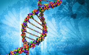 Nucleic Acid Labelling Market