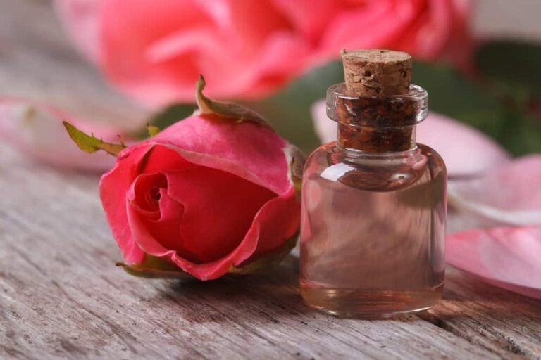 Rose Oil Market 1