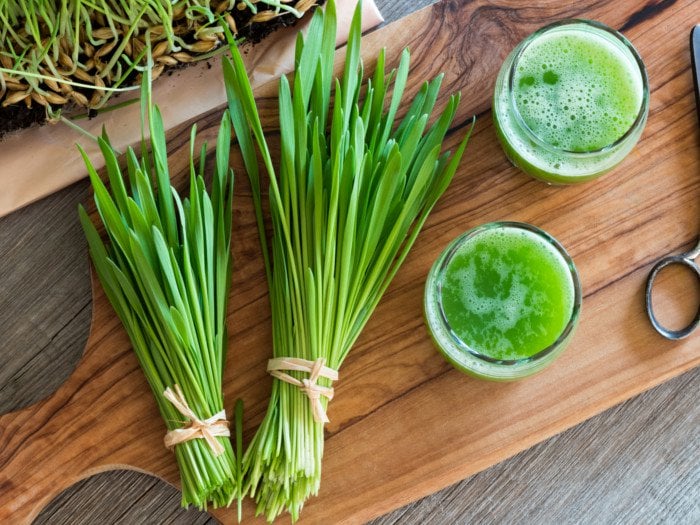 The Benefits Of Barley Grass Are Numerous