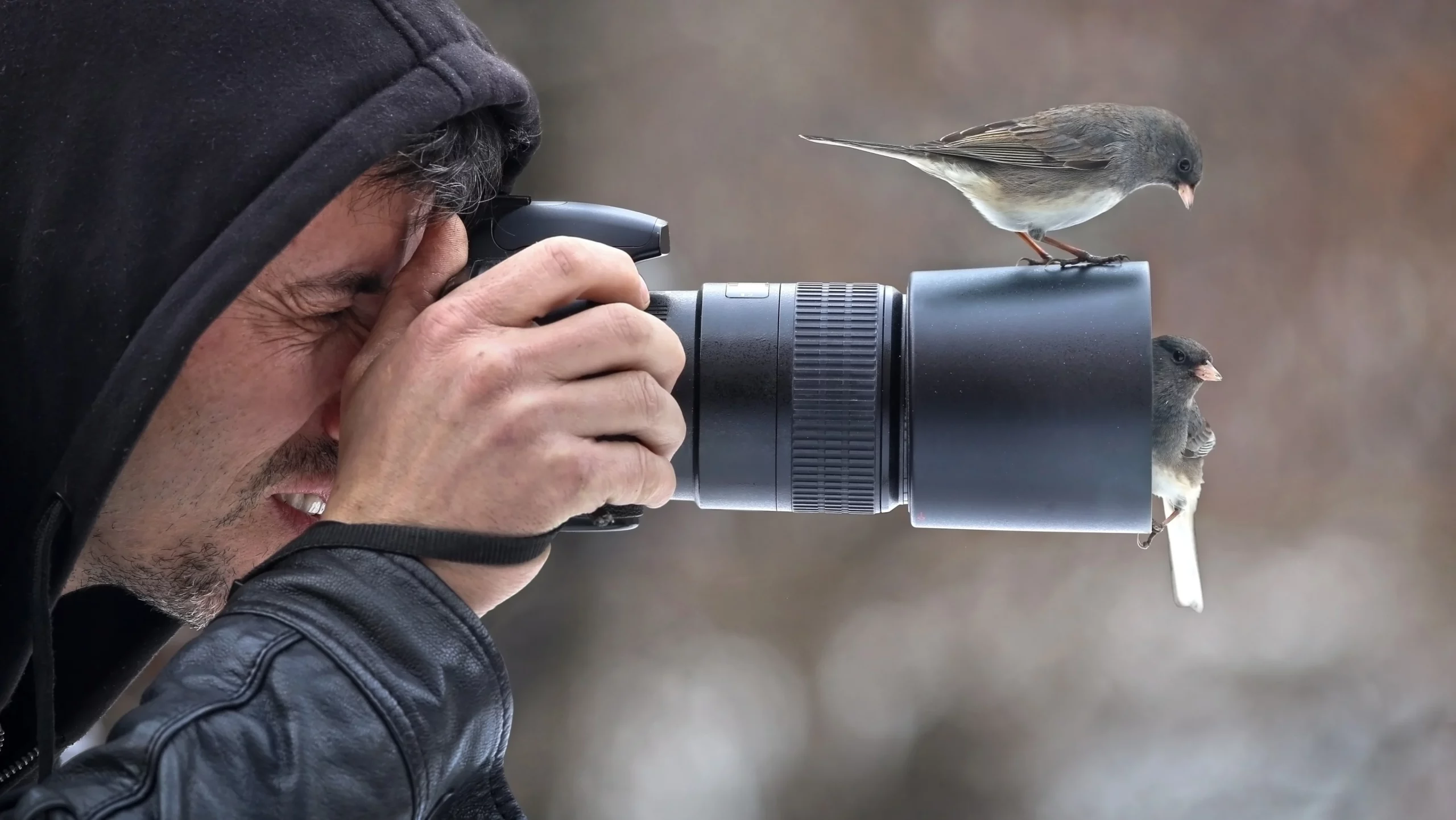 Best-camera-for-wildlife-photography Lead
