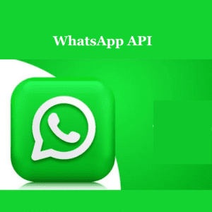 WhatsApp business API provider in India